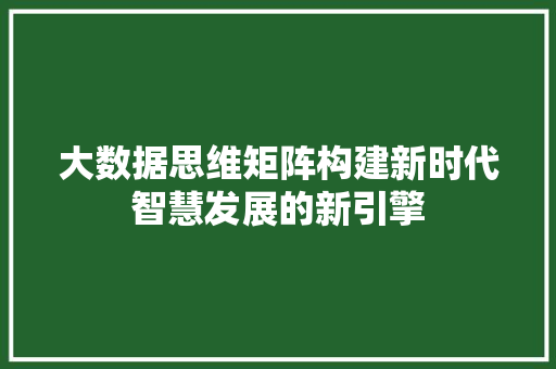 大数据思维矩阵构建新时代智慧发展的新引擎