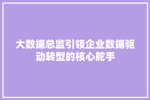 大数据总监引领企业数据驱动转型的核心舵手