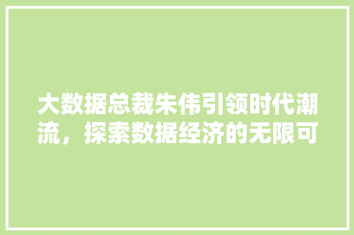 大数据总裁朱伟引领时代潮流，探索数据经济的无限可能