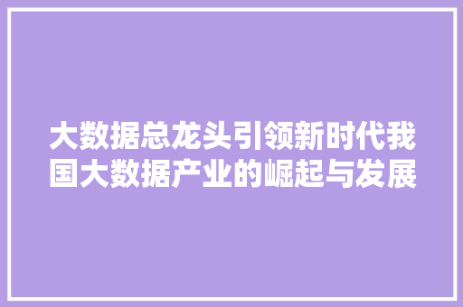 大数据总龙头引领新时代我国大数据产业的崛起与发展