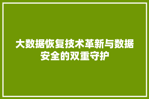大数据恢复技术革新与数据安全的双重守护