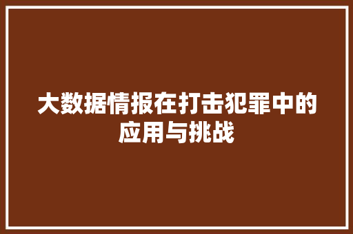 大数据情报在打击犯罪中的应用与挑战
