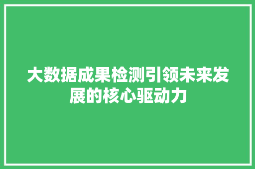 大数据成果检测引领未来发展的核心驱动力