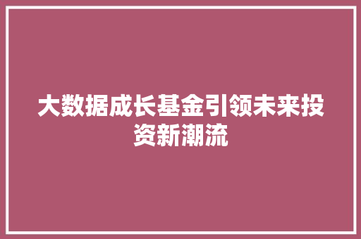 大数据成长基金引领未来投资新潮流