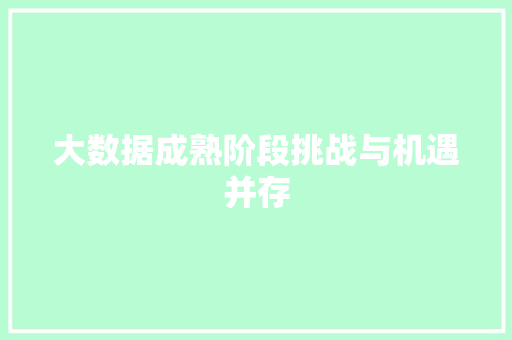 大数据成熟阶段挑战与机遇并存