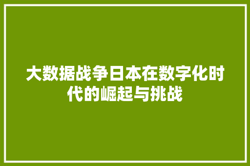 大数据战争日本在数字化时代的崛起与挑战 网络技术