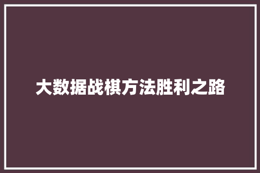 大数据战棋方法胜利之路