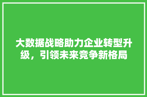 大数据战略助力企业转型升级，引领未来竞争新格局 电脑基础