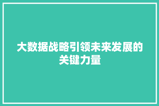 大数据战略引领未来发展的关键力量