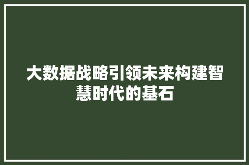 大数据战略引领未来构建智慧时代的基石 电脑基础