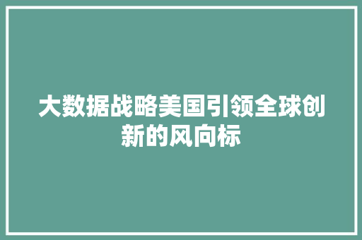大数据战略美国引领全球创新的风向标