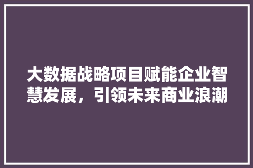 大数据战略项目赋能企业智慧发展,引领未来商业浪潮 操作系统 大数据战略项目赋能企业智慧发展,引领未来商业浪潮 操作系统
