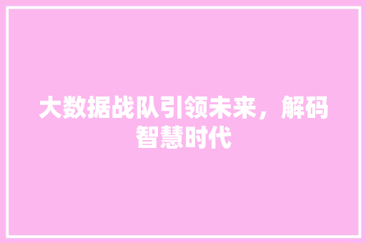 大数据战队引领未来，解码智慧时代