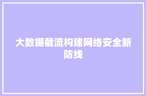 大数据截流构建网络安全新防线