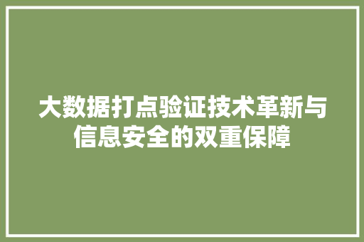 大数据打点验证技术革新与信息安全的双重保障