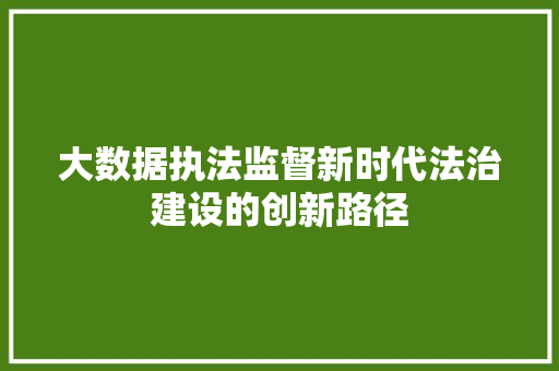 大数据执法监督新时代法治建设的创新路径