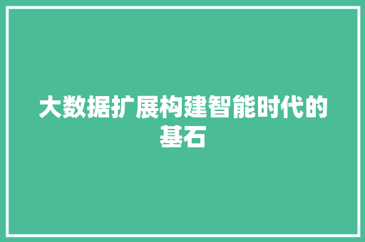 大数据扩展构建智能时代的基石