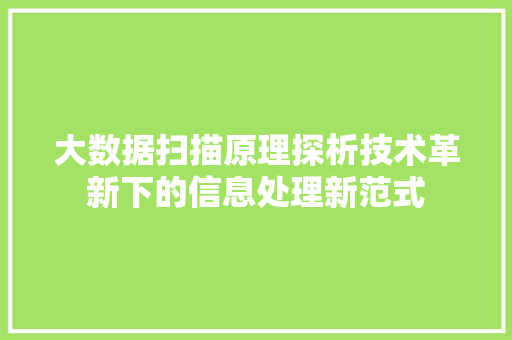 大数据扫描原理探析技术革新下的信息处理新范式