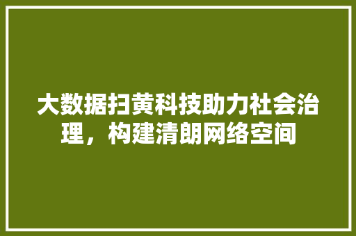 大数据扫黄科技助力社会治理，构建清朗网络空间