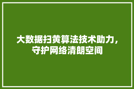 大数据扫黄算法技术助力,守护网络清朗空间 大数据扫黄算法技术助力,守护网络清朗空间