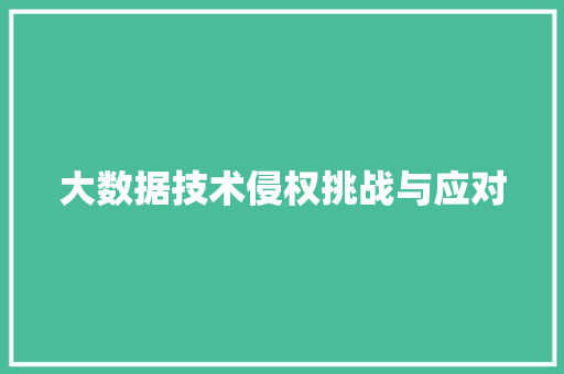 大数据技术侵权挑战与应对