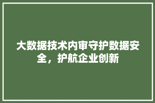 大数据技术内审守护数据安全，护航企业创新