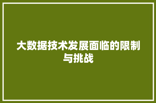 大数据技术发展面临的限制与挑战