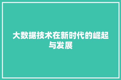 大数据技术在新时代的崛起与发展 电脑配置