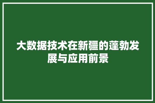 大数据技术在新疆的蓬勃发展与应用前景 电脑故障维修
