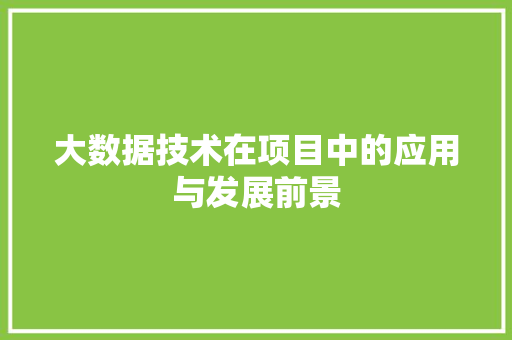 大数据技术在项目中的应用与发展前景 电脑基础