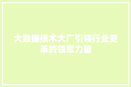 大数据技术大厂引领行业变革的领军力量