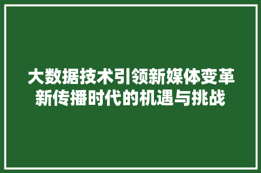 大数据技术引领新媒体变革新传播时代的机遇与挑战