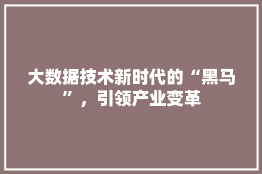 大数据技术新时代的“黑马”，引领产业变革 网络技术