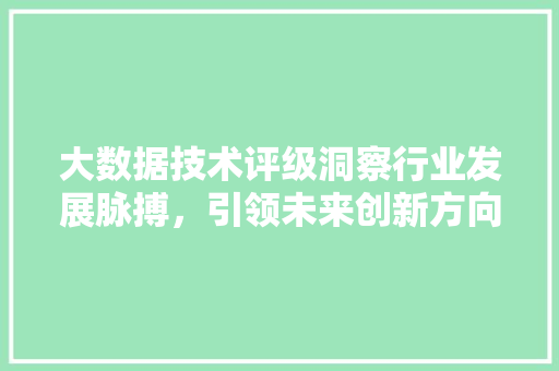 大数据技术评级洞察行业发展脉搏，引领未来创新方向