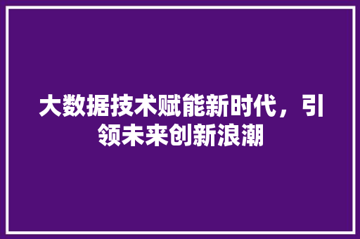 大数据技术赋能新时代，引领未来创新浪潮