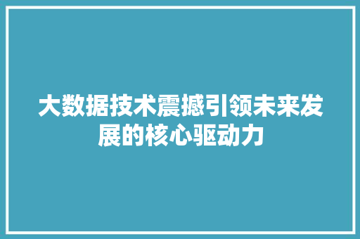 大数据技术震撼引领未来发展的核心驱动力