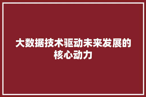 大数据技术驱动未来发展的核心动力