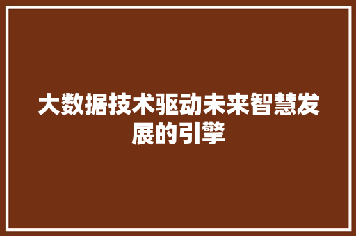 大数据技术驱动未来智慧发展的引擎