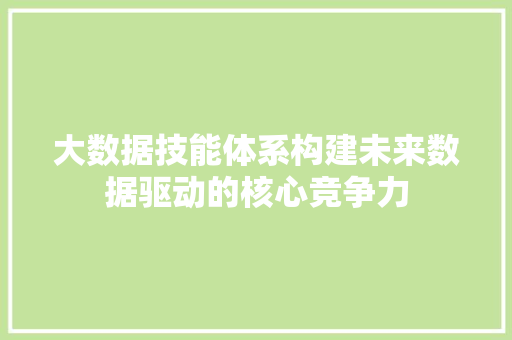 大数据技能体系构建未来数据驱动的核心竞争力