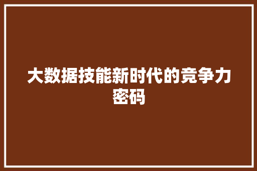 大数据技能新时代的竞争力密码
