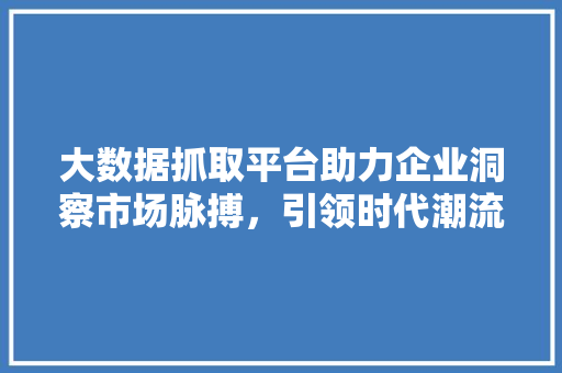 大数据抓取平台助力企业洞察市场脉搏，引领时代潮流 操作系统