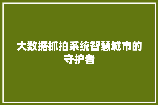 大数据抓拍系统智慧城市的守护者 大数据抓拍系统智慧城市的守护者