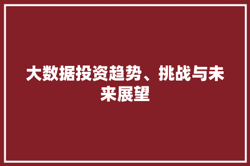 大数据投资趋势、挑战与未来展望