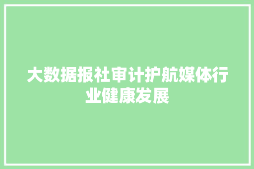大数据报社审计护航媒体行业健康发展 大数据报社审计护航媒体行业健康发展