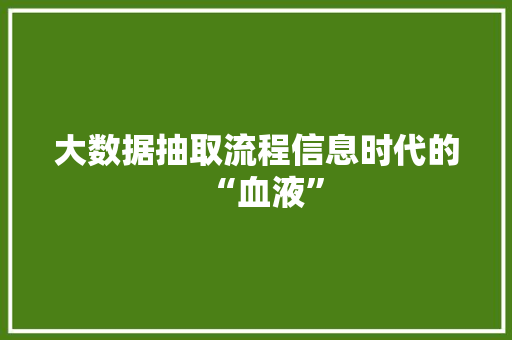 大数据抽取流程信息时代的“血液” 大数据抽取流程信息时代的“血液”