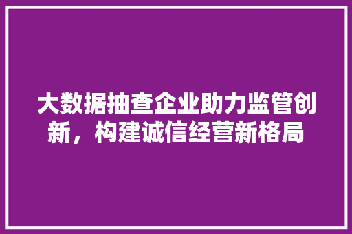 大数据抽查企业助力监管创新，构建诚信经营新格局
