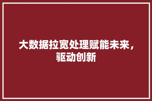 大数据拉宽处理赋能未来,驱动创新 大数据拉宽处理赋能未来,驱动创新
