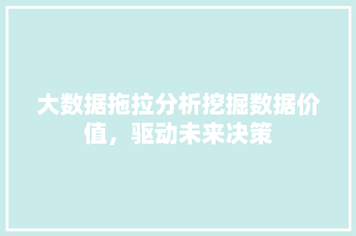 大数据拖拉分析挖掘数据价值，驱动未来决策