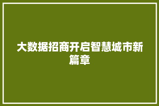 大数据招商开启智慧城市新篇章