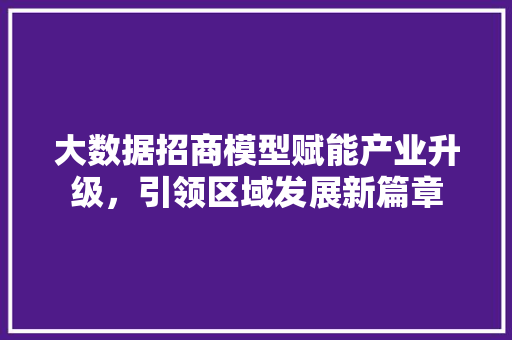 大数据招商模型赋能产业升级，引领区域发展新篇章